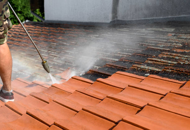 Best Pressure Washing Company Near Me  in Rocky Ford, CO